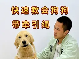 Télécharger la video: 快速叫会狗狗主动戴牵引绳