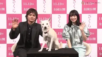 映画 さくら 公開記念スペシャル 小松菜奈北村匠海 哔哩哔哩 つロ干杯 Bilibili