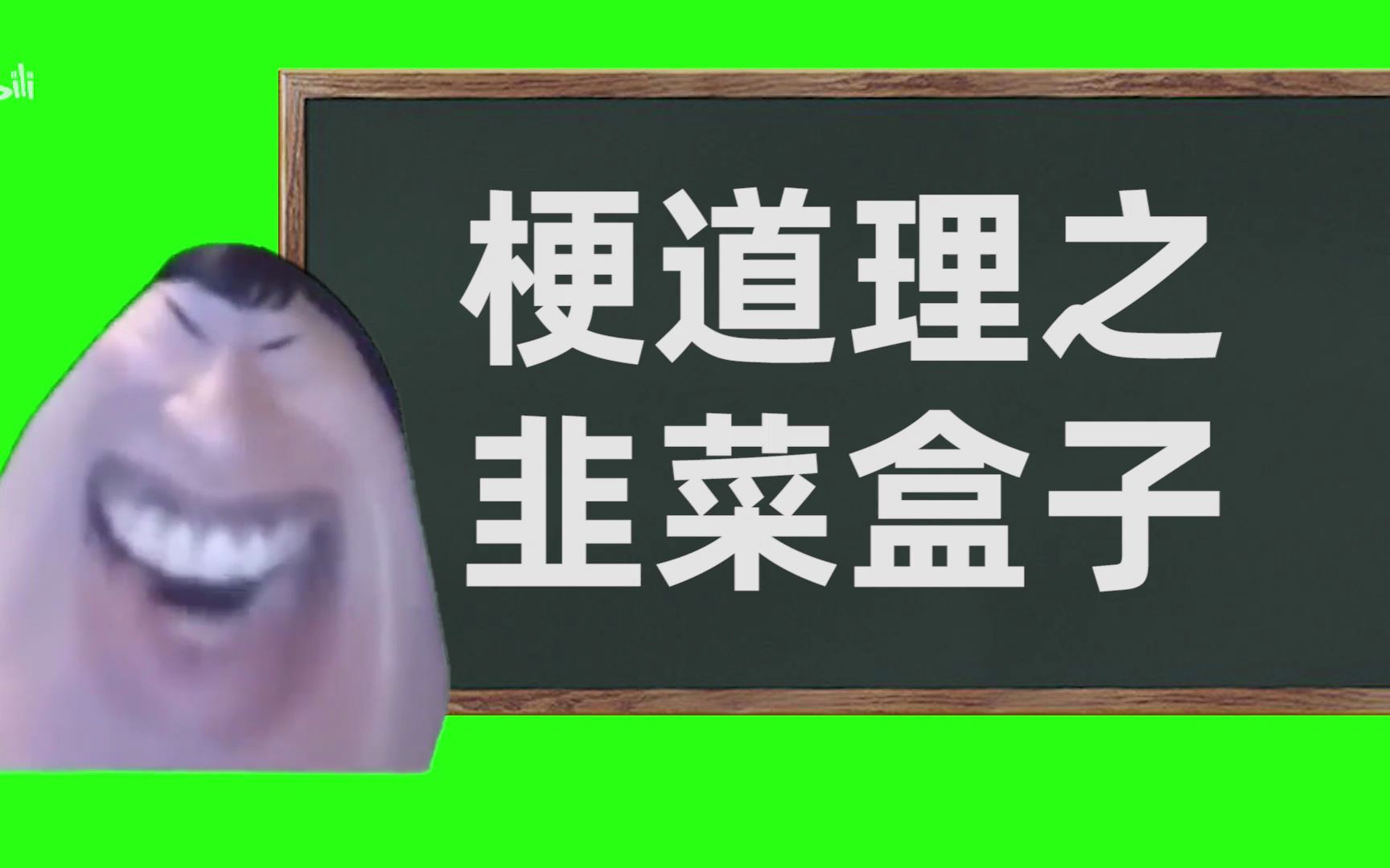 梗道理之韭菜盒子哔哩哔哩bilibili