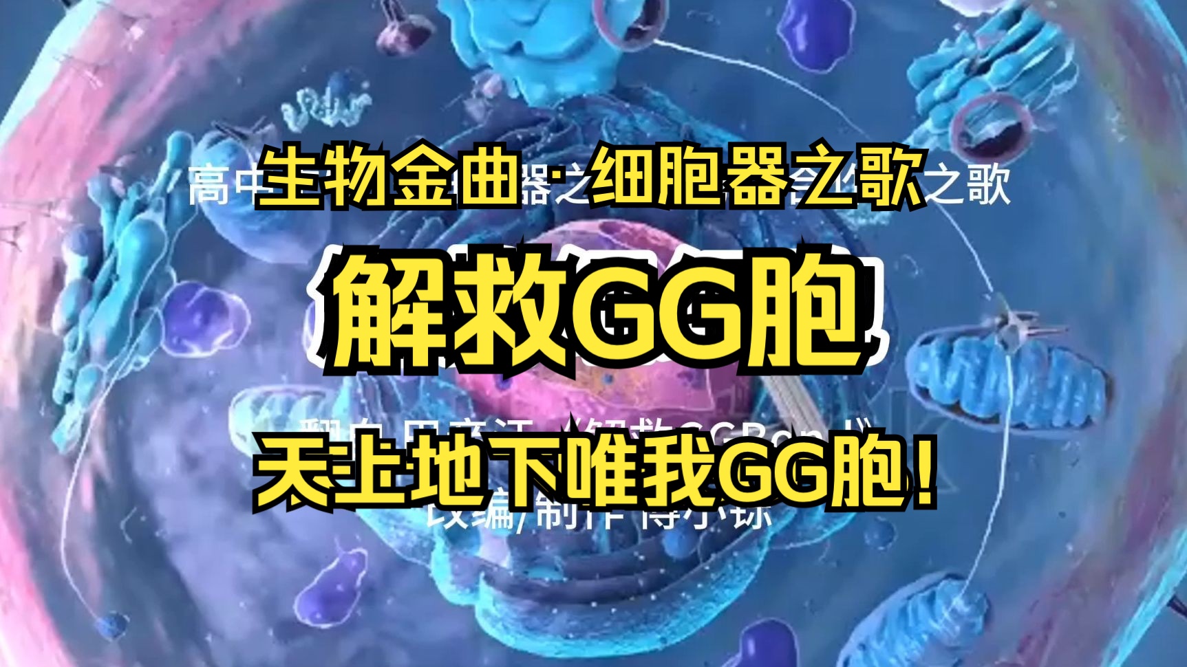 【高中生物】细胞器之歌 天上地下唯我GG胞!哔哩哔哩bilibili