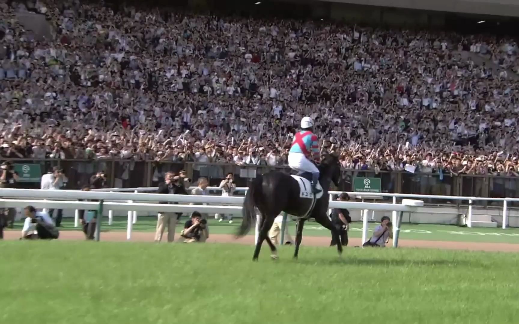 【赛马史的今天】东京10r 日本德比(g1 2400米)1号马1号人气1着 高情