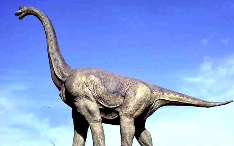 世界上体型最大的恐龙图片