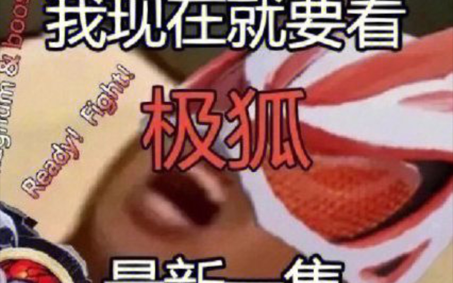 假面骑士极狐表情包