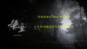 Download Video: 【夜涧清泉/黑神话悟空】12600kf+4060ti画面配置推荐