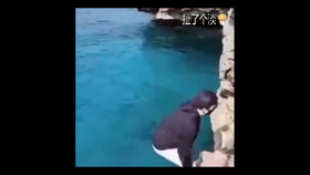 跳水脸被劈两半 求过审 哔哩哔哩 つロ干杯 Bilibili