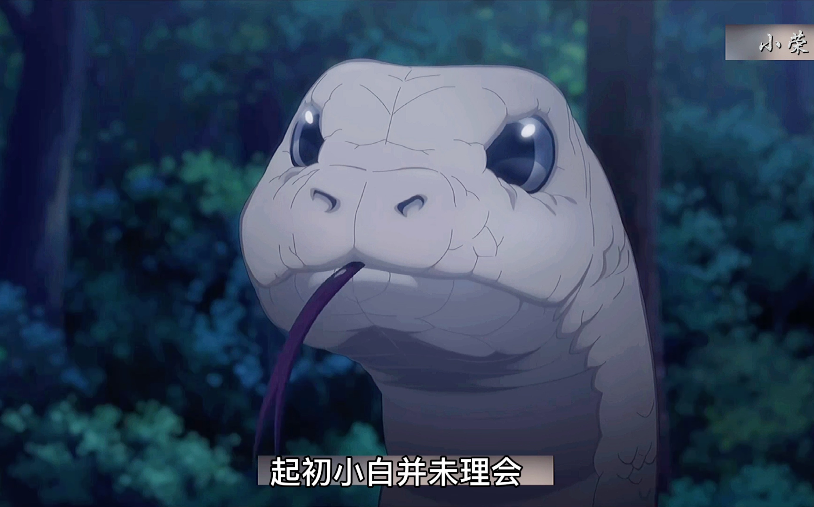 谁能拒绝这么可爱善良的小白蛇呢《百妖谱》