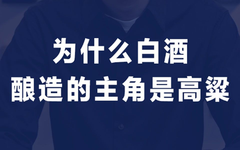 揭秘!高粱之所以成为酿酒的主要原料,这里面藏着不少的秘密!哔哩哔哩bilibili