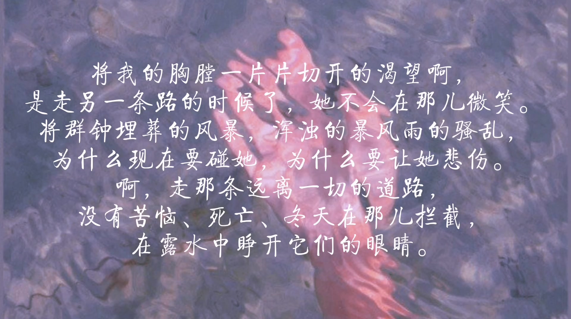 聂鲁达在暴风中心攥住一朵玫瑰二十首情诗和一首绝望的歌下