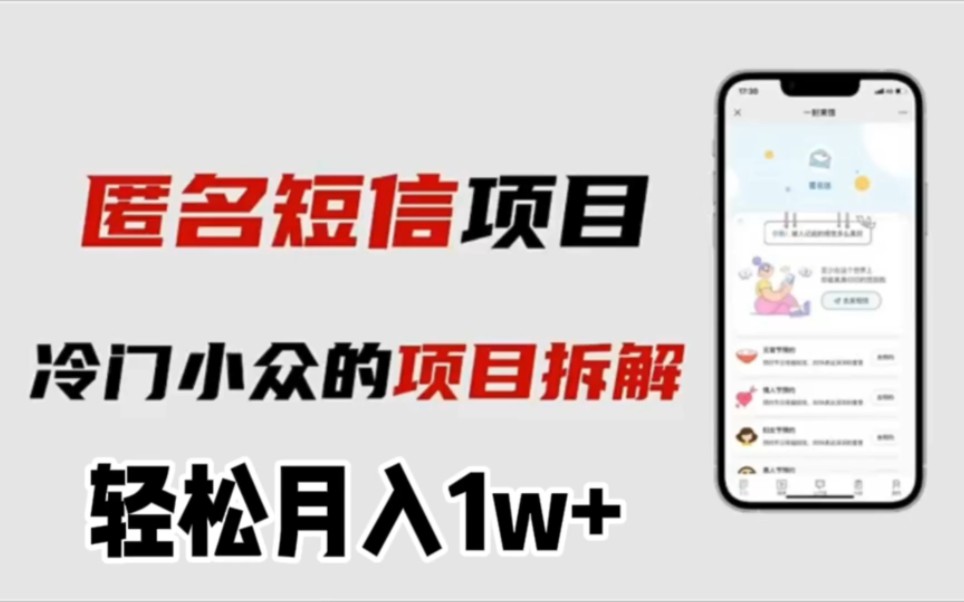 匿名短信项目,轻松月入1w+哔哩哔哩bilibili