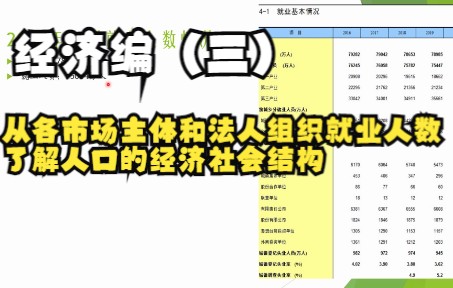 [图]经济编（三）从各市场主体和法人组织就业人数了解人口的经济社会结构