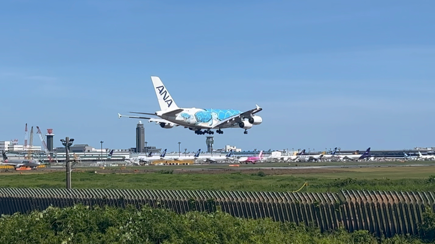 ana a380 ja381a 蓝海龟 落地nrt跑道16r