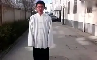 杨式太极拳 哔哩哔哩 Bilibili