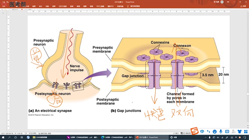 [图]23考研西综 侯英健 生理学教材领读