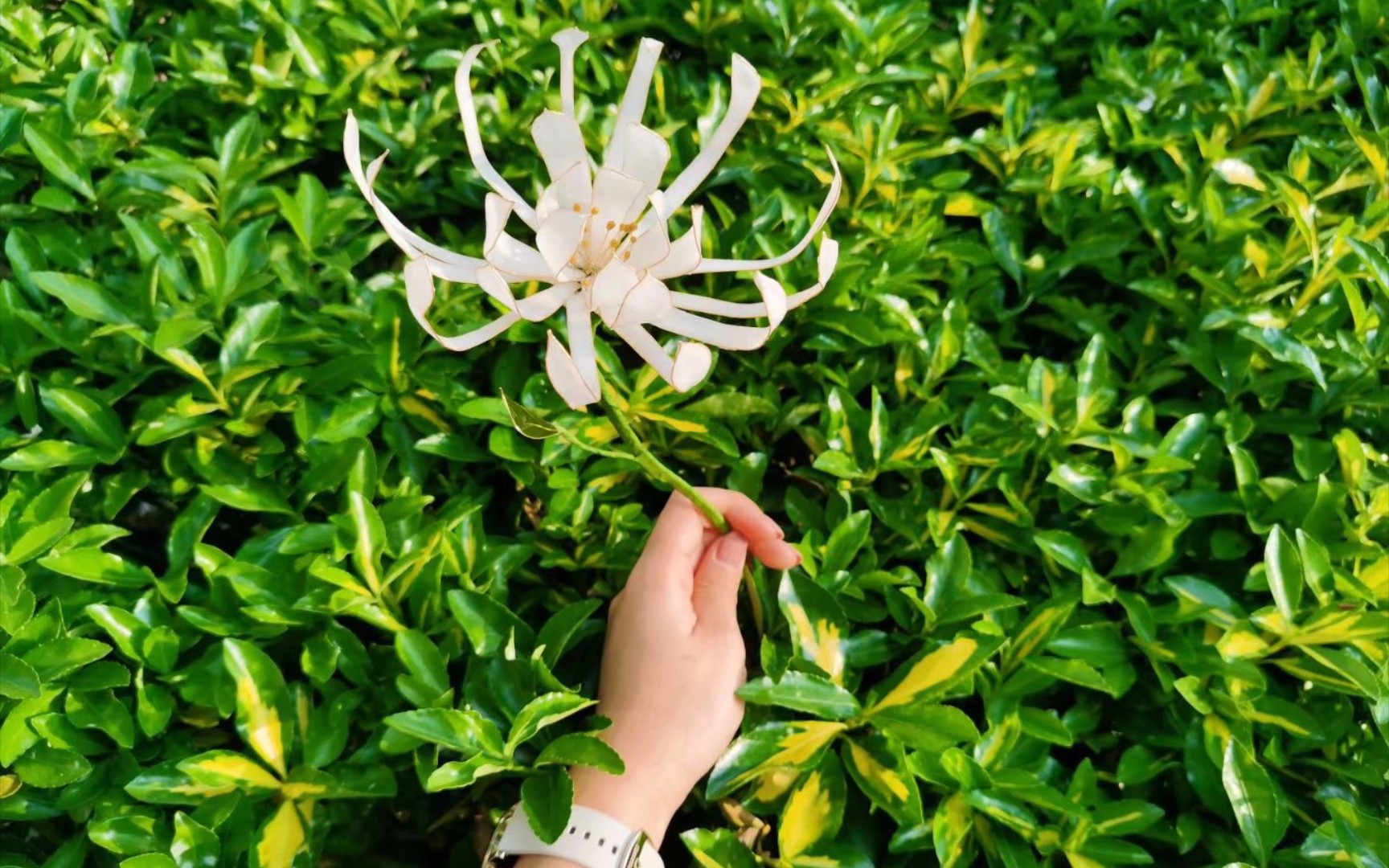 【醉心花教程】天涯明月刀移花宫醉心花道具所用到材料钳子套筒0.40.