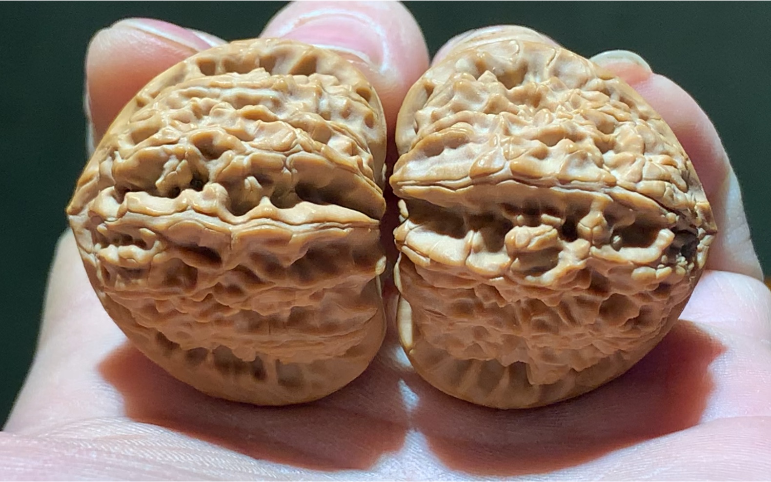 精配三角白狮子头纹路都能对上