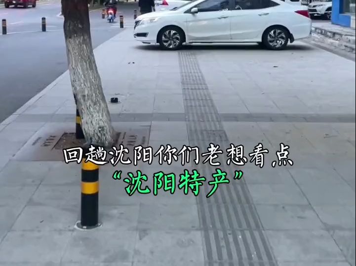 带你们看看沈阳特产,塔塔哔哩哔哩bilibili