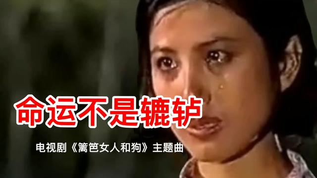 [图]电视剧《篱笆女人和狗》主题曲《命运不是辘轳》，当年听哭多少人