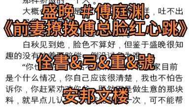 精品小说推荐全文《盛晚傅庭渊》又名《前妻撩拨傅总脸红心跳》哔哩哔哩bilibili