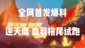 逆天鹰血羽ohhhhhhhhhhhhhhhhhhhhhhhhhh 哔哩哔哩 つロ干杯 Bilibili