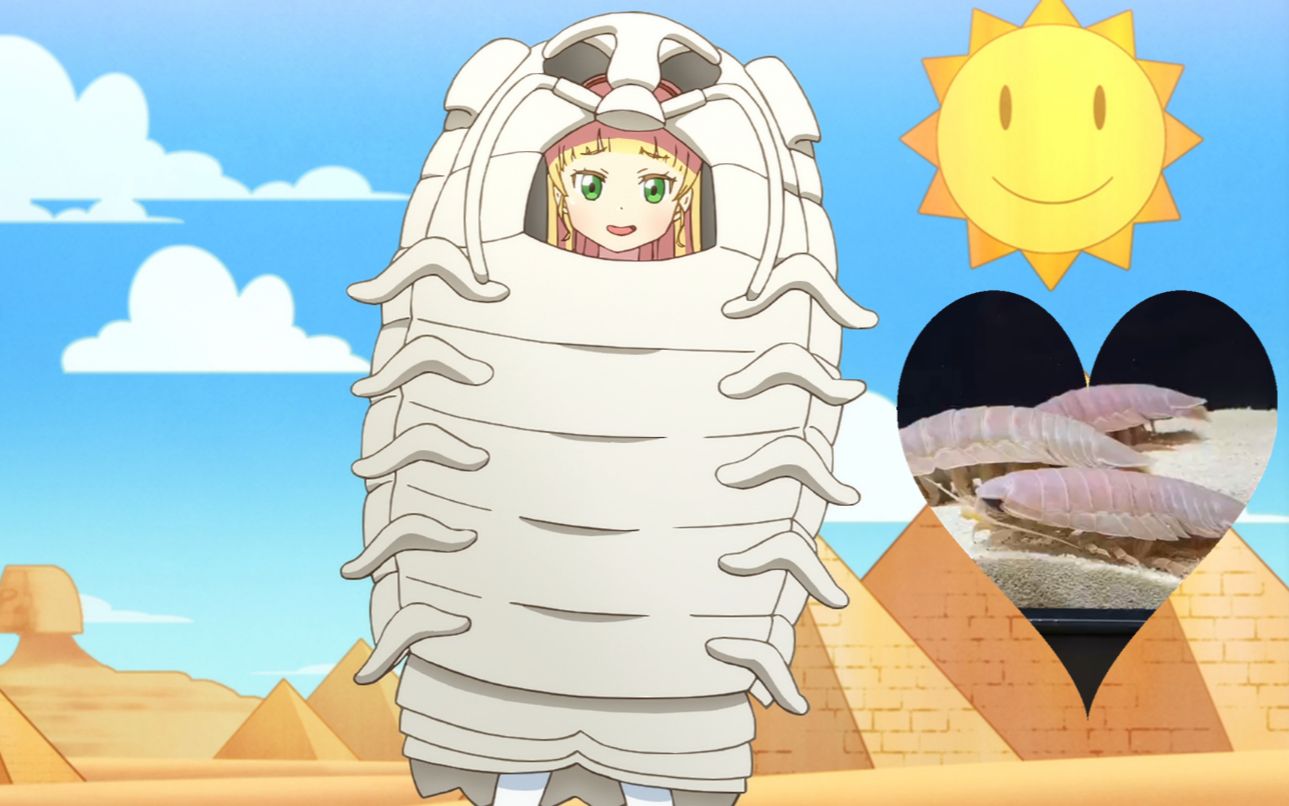 小平安名堇:具足虫之歌(洗脑循环版)v1.0顺便有具足虫的真身前来助阵