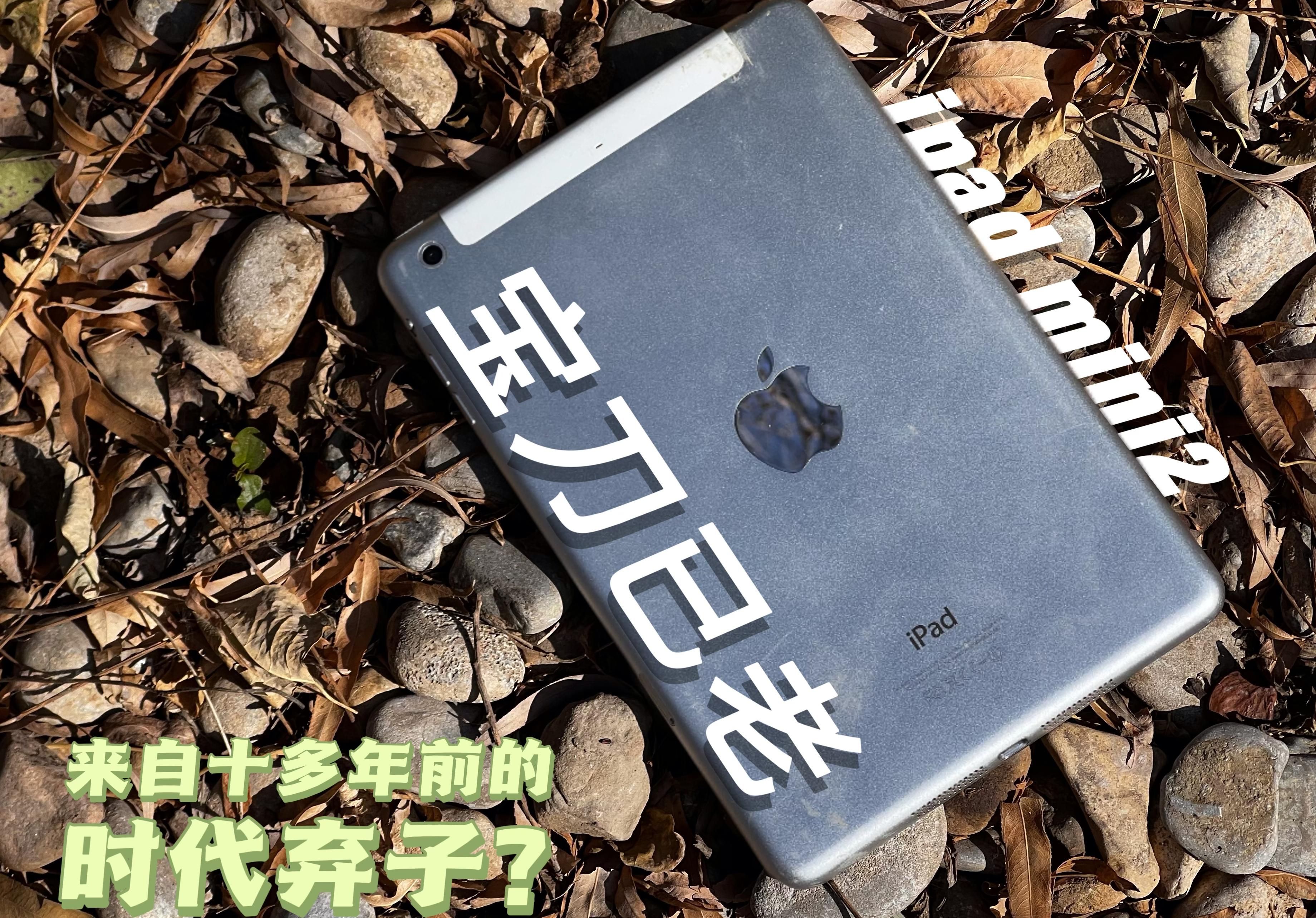 【评测】2025年,70元的ipad mini2还能干些什么?
