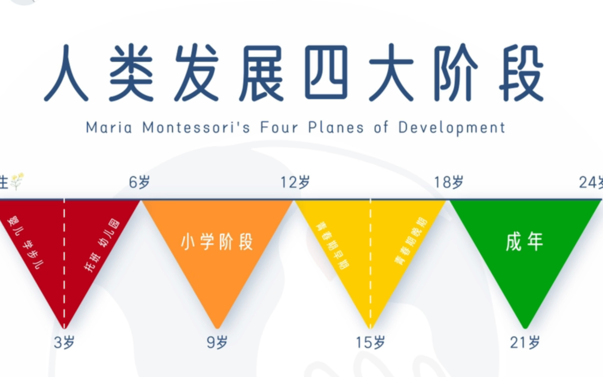 一图读懂蒙特梭利提出的人类发展四阶段哔哩哔哩bilibili