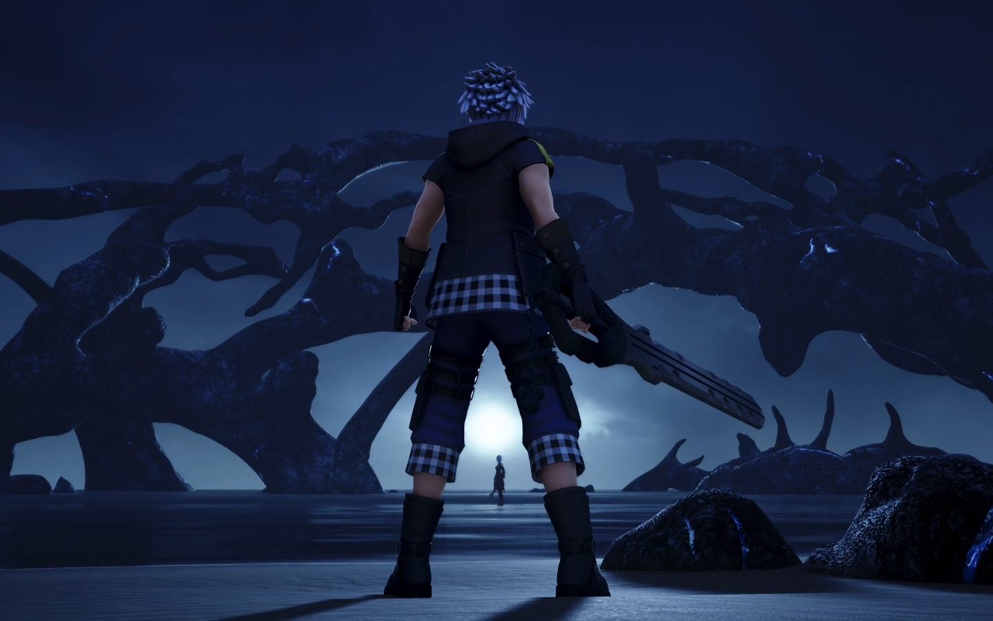 王国之心3利库与阿库娅