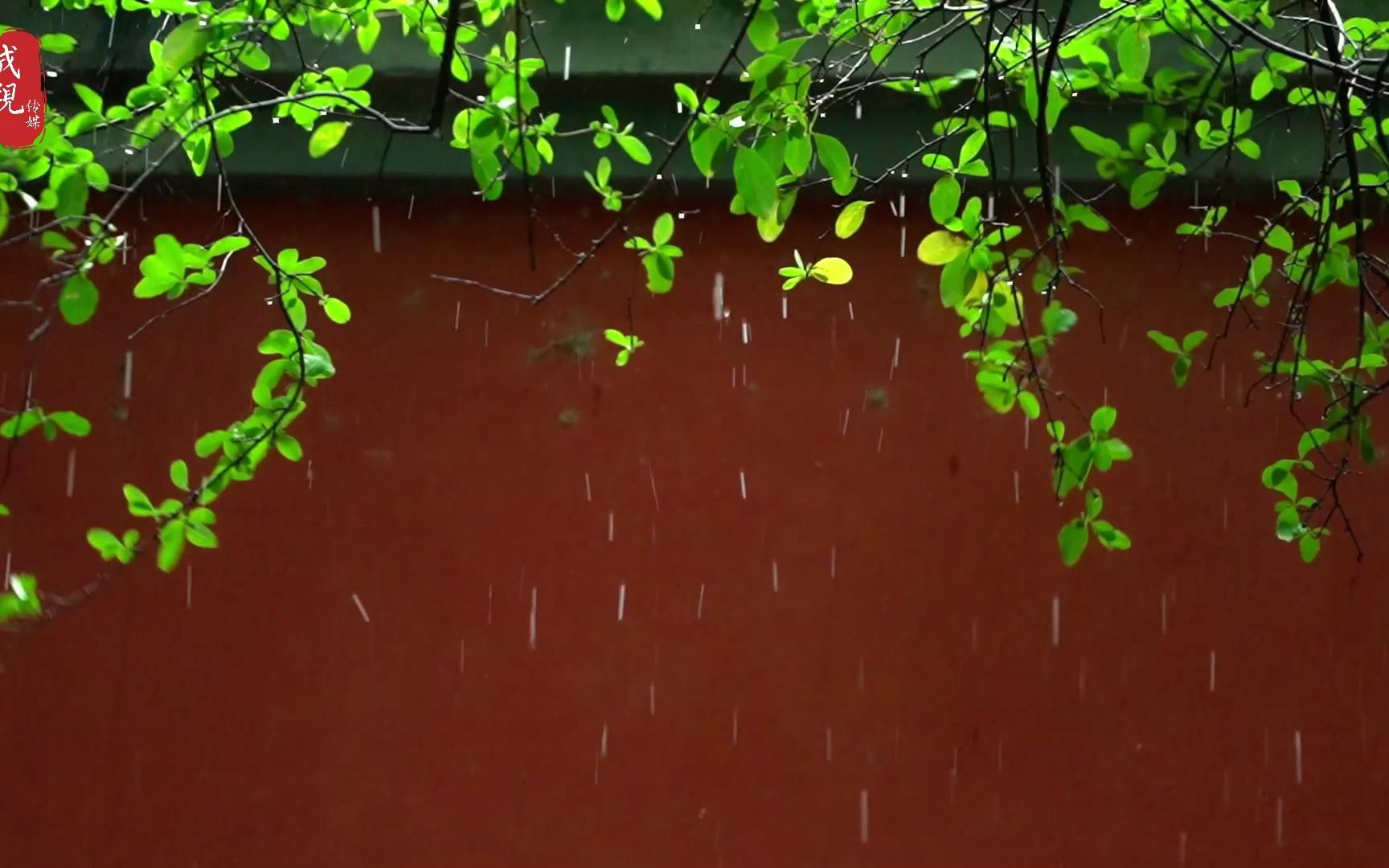 人间四月,清明雨上,一经别年,思念满怀,不负当下,不畏将来.