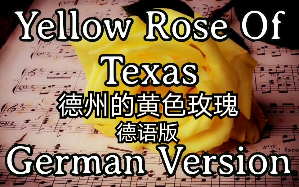 巴伐利亚州的黄色玫瑰(雾)Yellow Rose of Texas【美国民歌】(德语版)(英德歌词) 【德国民谣歌手Karl】哔哩哔哩bilibili