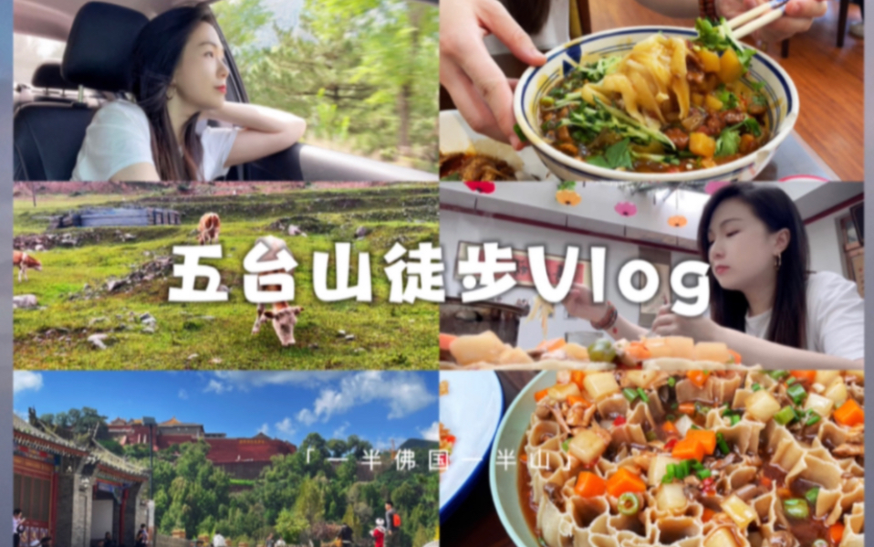 五台山徒步Vlog𐟒•| 一半佛国一半山|自然界没有坏天气哔哩哔哩bilibili