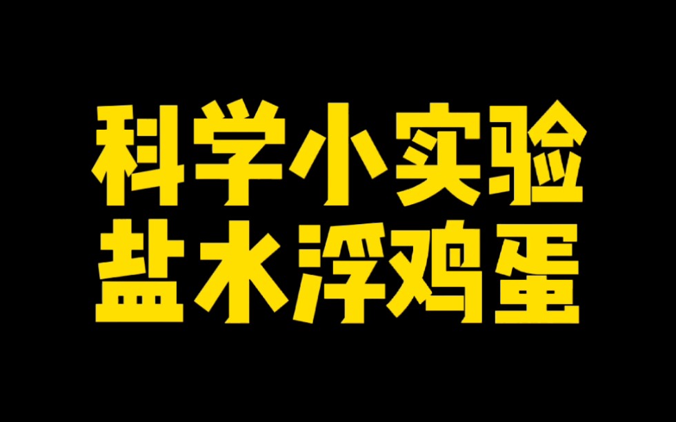 科学小实验盐水浮鸡蛋哔哩哔哩bilibili