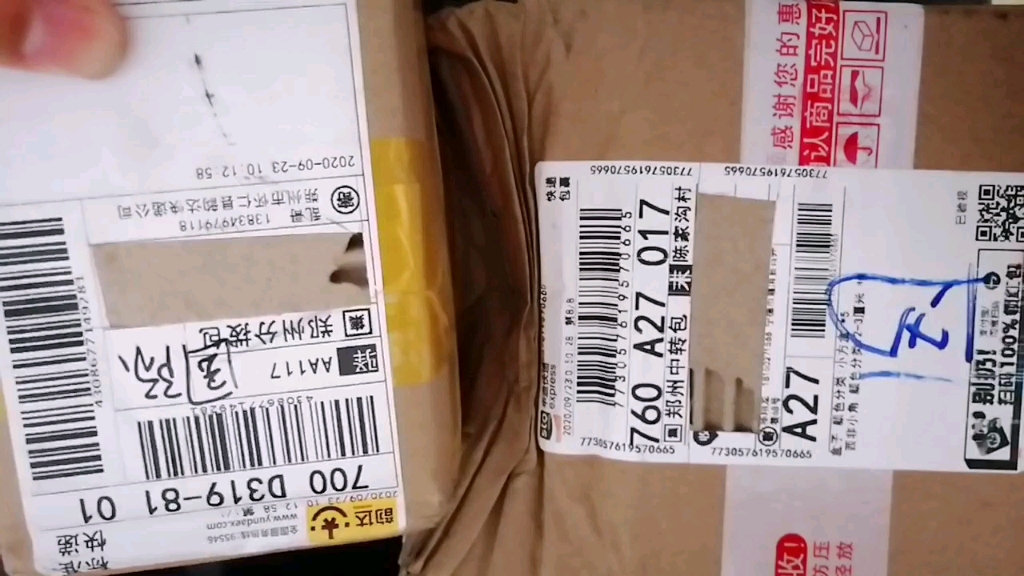 直角巴布纳米比亚黄金巴布小角巴布开箱