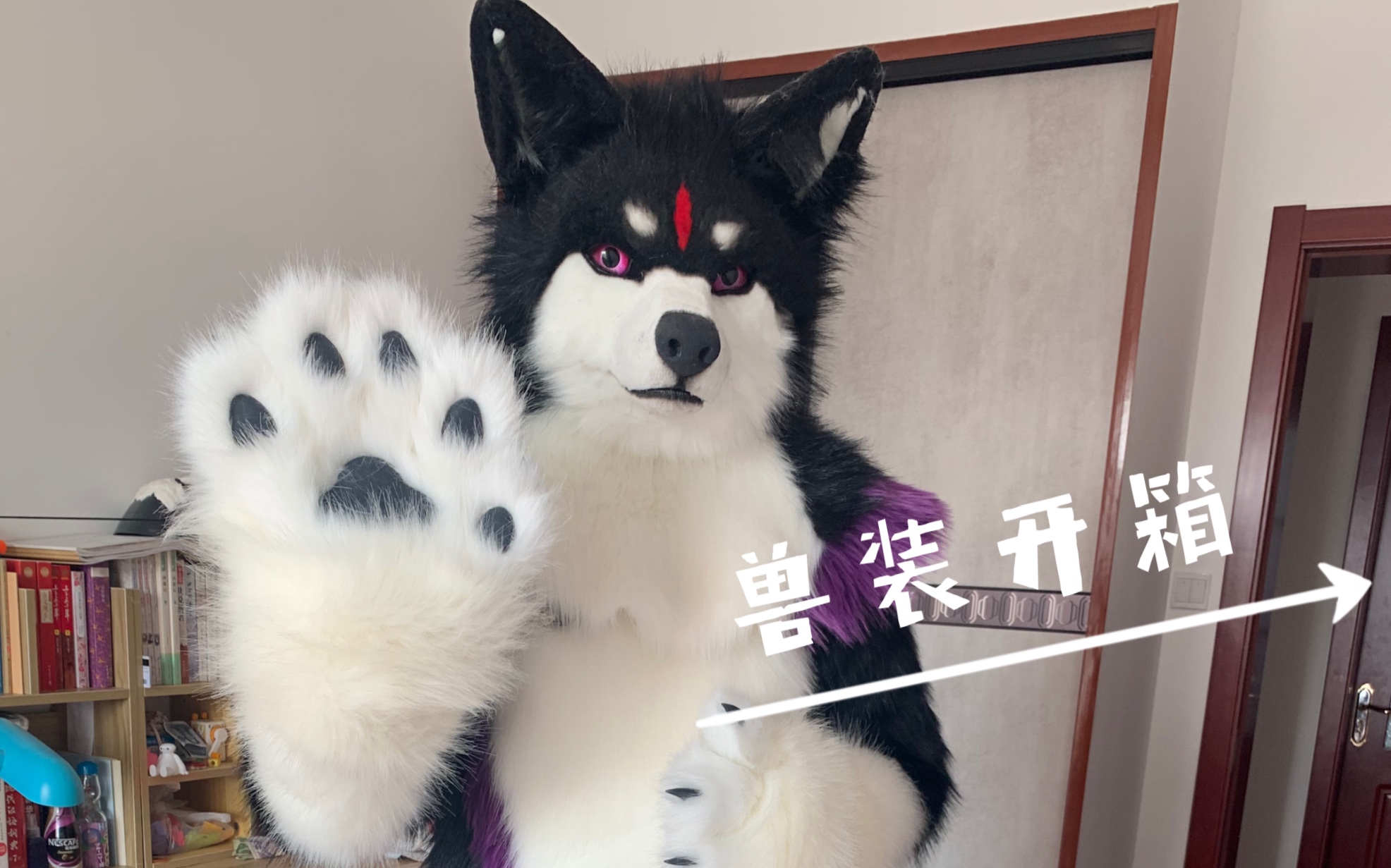 兽装开箱写实全装大黑狼到家了进来吸毛