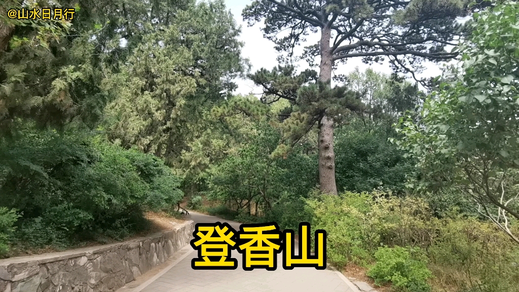 北京香山公园,满山的苍松翠柏,是夏季出游避暑的好地方哔哩哔哩bilibili