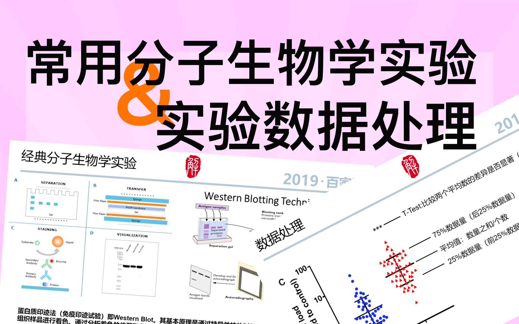 [图]【科研实验】科研中常见的分子生物学实验，实验数据的处理及那些花花绿绿的科研图