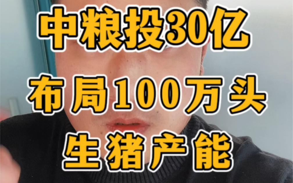 国企再度出手,中粮头30亿布局100万头生猪产能,养殖业战火纷飞. #畜牧养殖 #猪价 #生猪价格走势分析哔哩哔哩bilibili