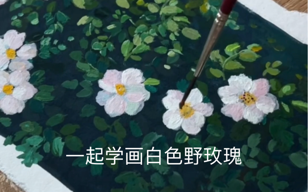 水粉画~简单的白色野玫瑰哔哩哔哩bilibili