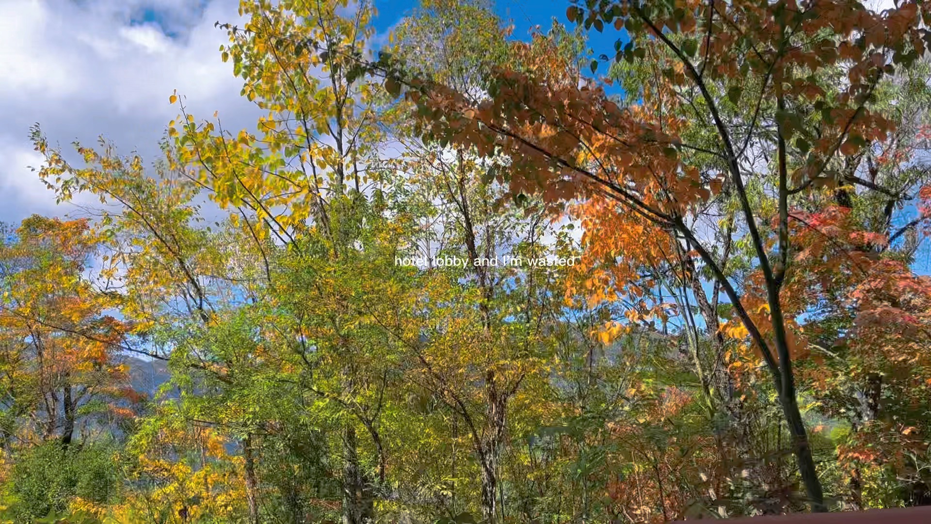 [图]看万山红遍 层林尽染#进山了