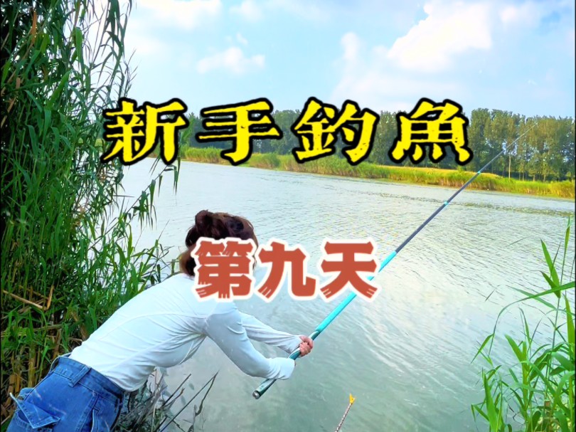 新手钓鱼第9天,今天终于站起来了