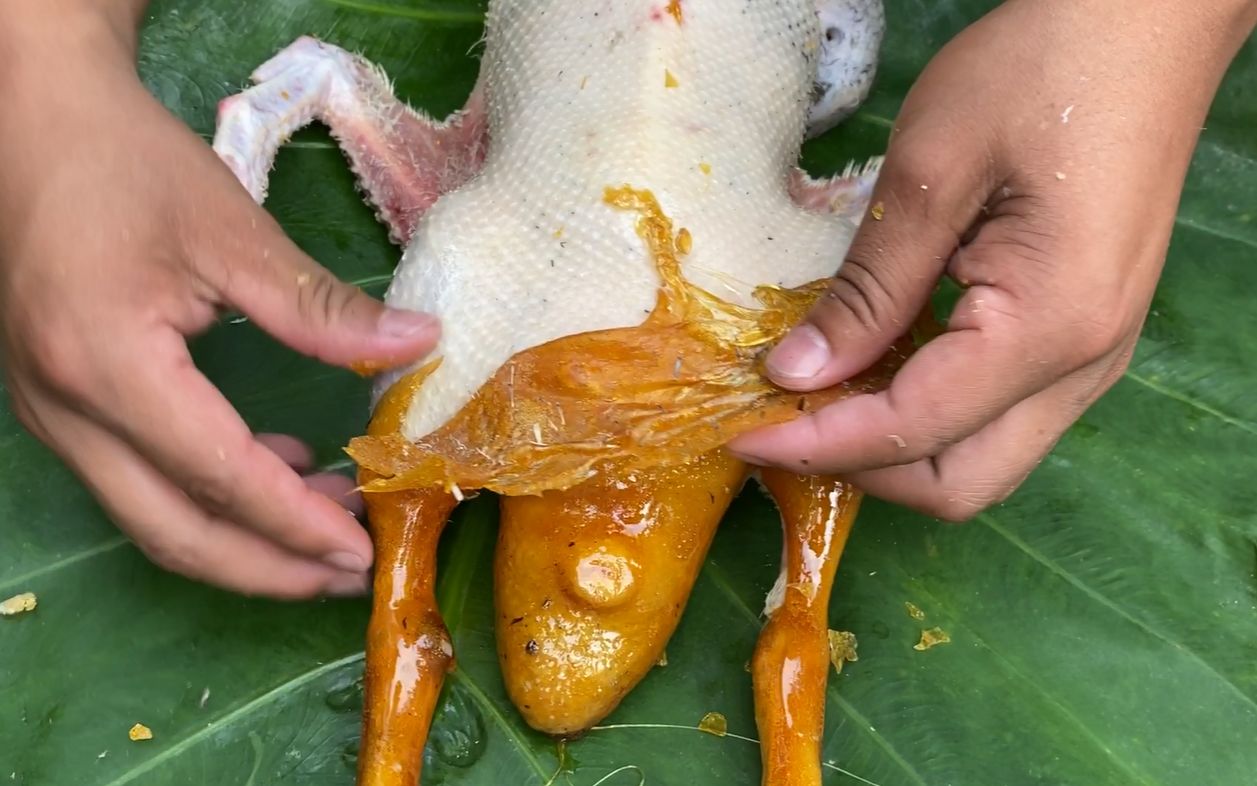 用松香拔鸭毛这才是脱鸭毛最快又干净的好方法没见过吧