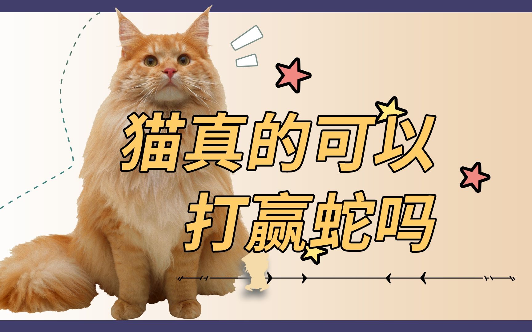 猫咪和蛇打架谁能赢哔哩哔哩bilibili