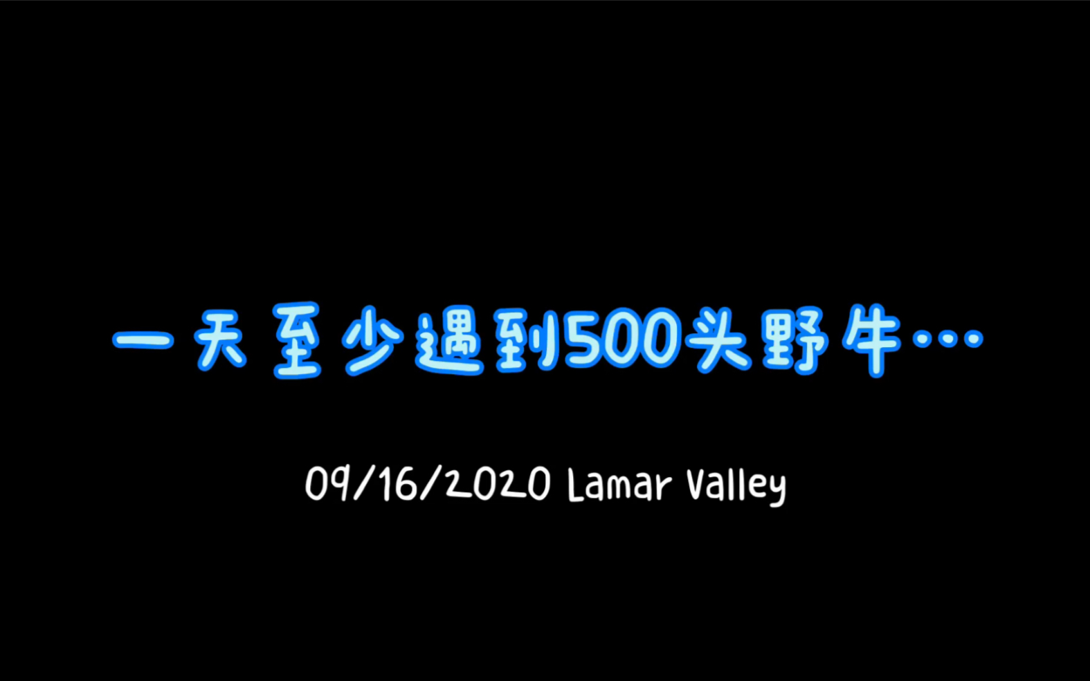 [图]【黄石的神兽们】被上百只美洲野牛围绕是一种什么感受？