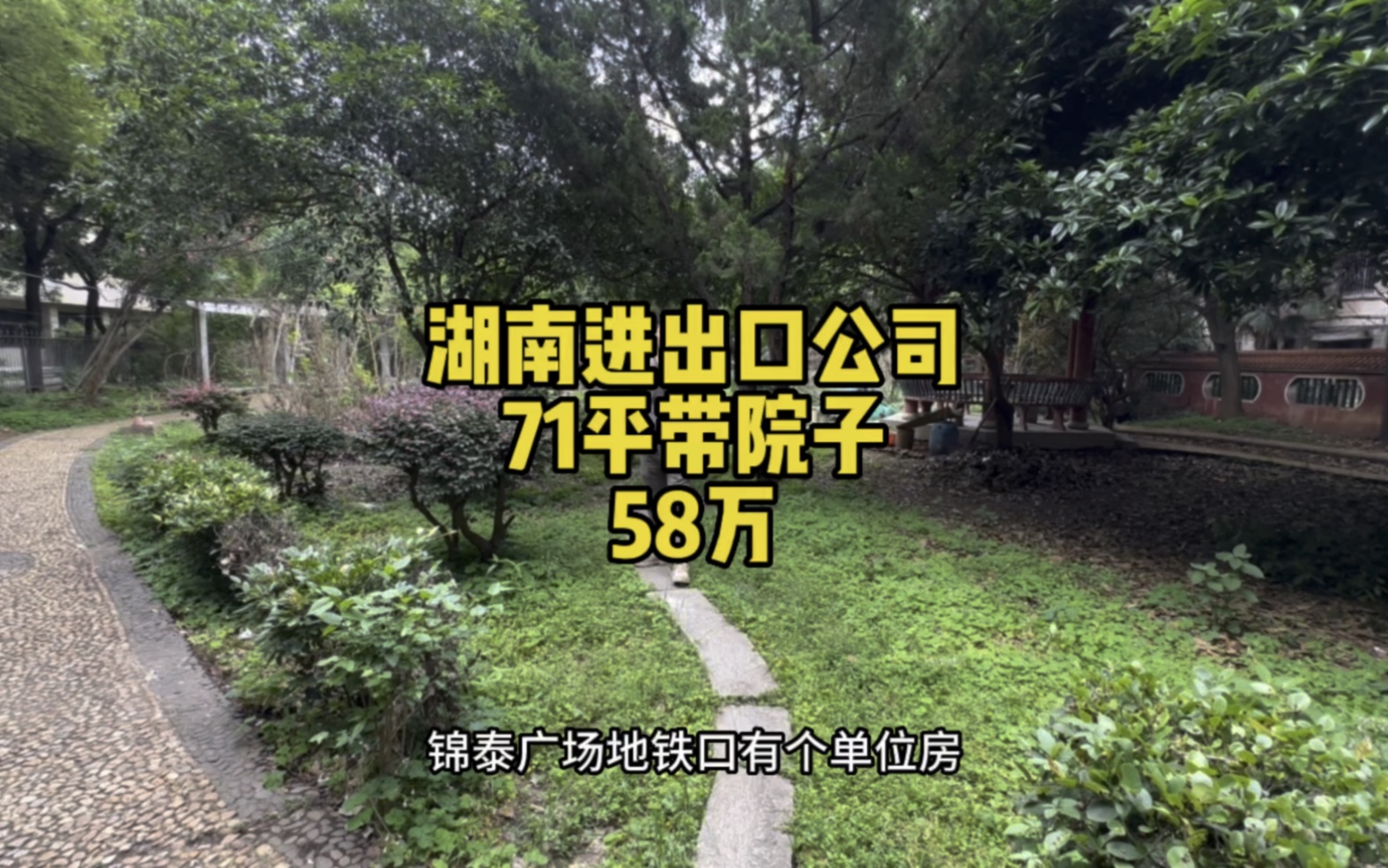 湖南进出口公司,71平,58万,距离长沙地铁2号线锦泰广场站400米,小区很大,有拆千的可能.带一个大概20平朝南的大院子.#长沙买房哔哩哔哩bilibili