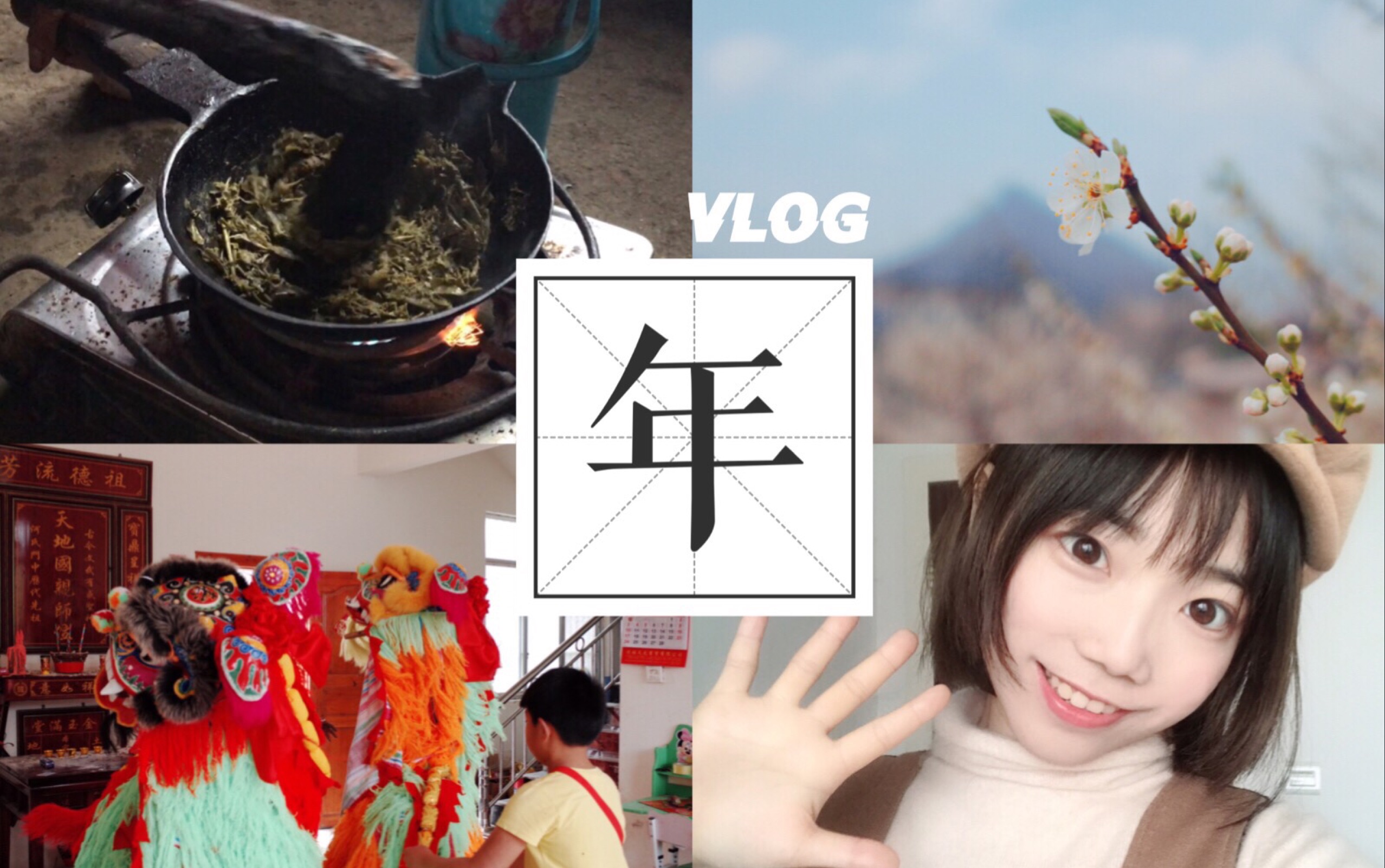 VLOG| 啥是油茶?湖南妹子带你去广西拜年哔哩哔哩bilibili