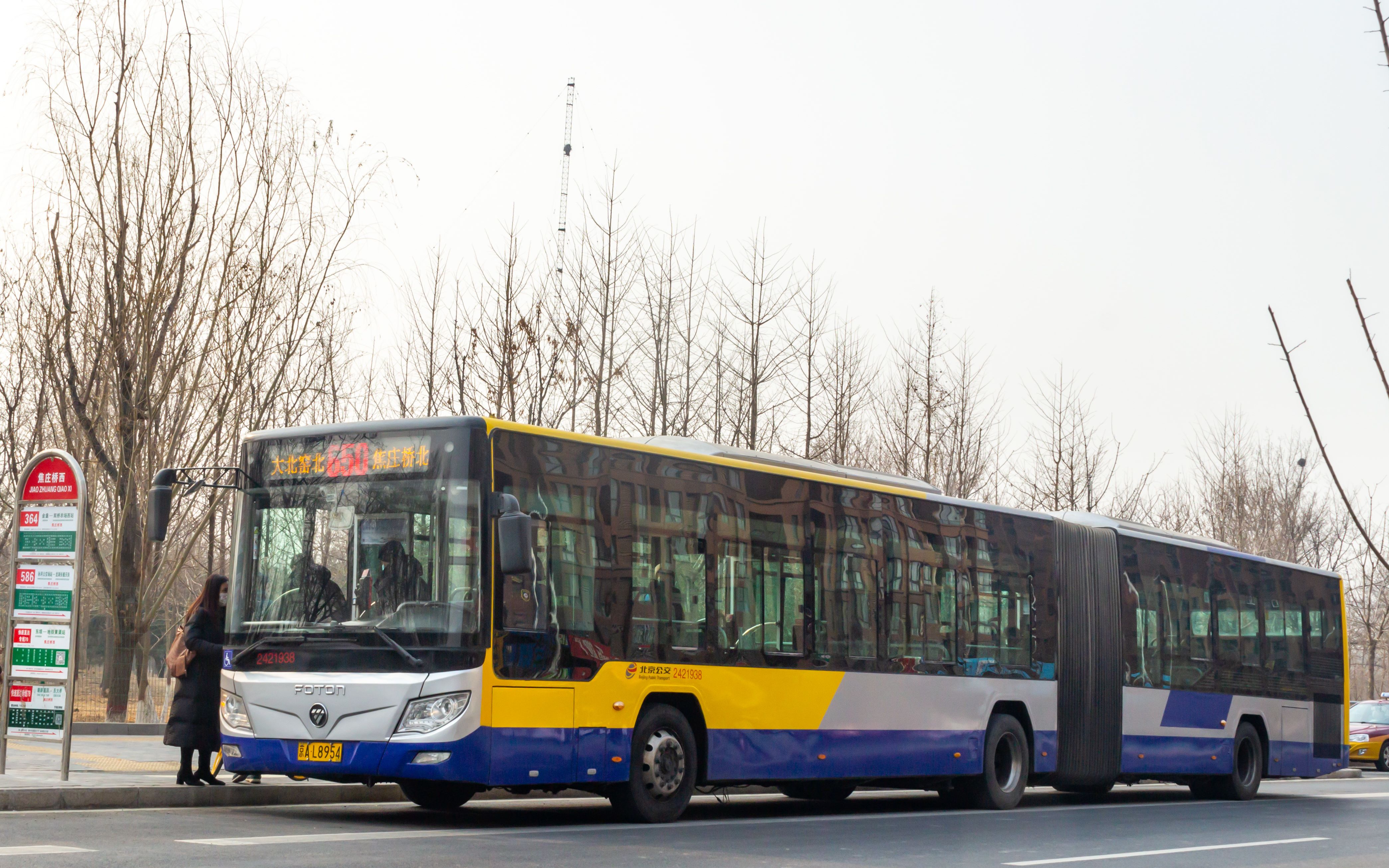 北京阿尔萨客车图片