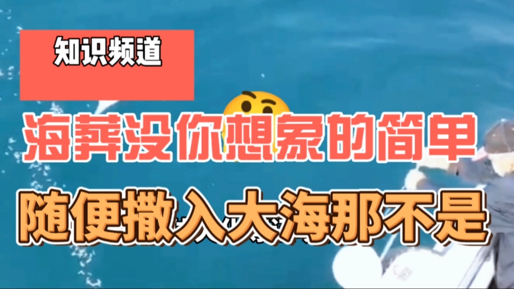 大多数地方,对海葬的家属是不收取费用,并且有些地方还给补贴哔哩哔哩bilibili