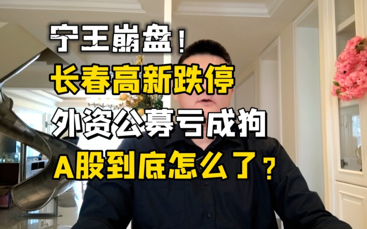 宁王崩盘!长春高新跌停,外资公募亏成狗,A股到底怎么了?哔哩哔哩bilibili