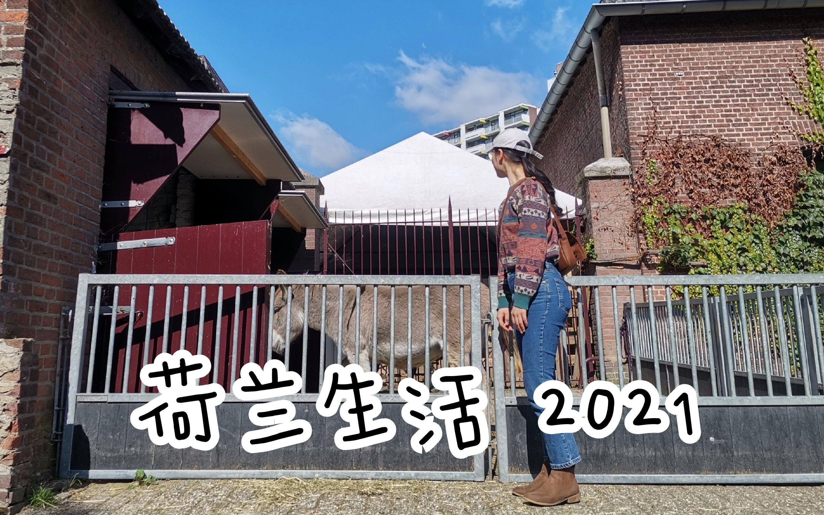 在荷兰南部小城平平无奇的日常 Yearly Vlog 2021哔哩哔哩bilibili