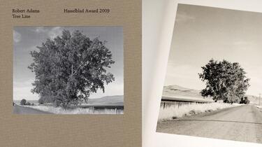 Mint) Tree Line - The Hasselblad Award 2009 by Robert Adams
