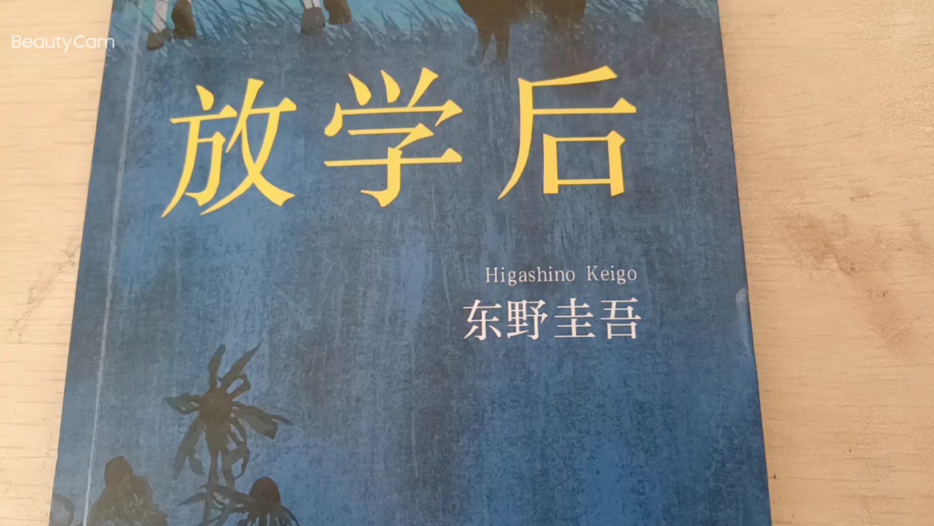 东野奎吾的处女作《放学后》第31届的江户川乱步奖.由此开启东野奎吾写作生涯的书到底怎样哔哩哔哩bilibili